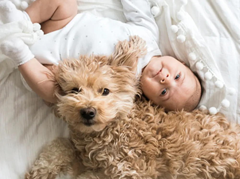 A baby and dog lying together, both looking at the camera.