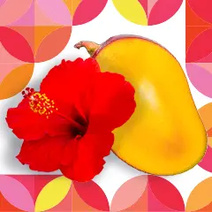 A cut mango and a hibiscus flower.