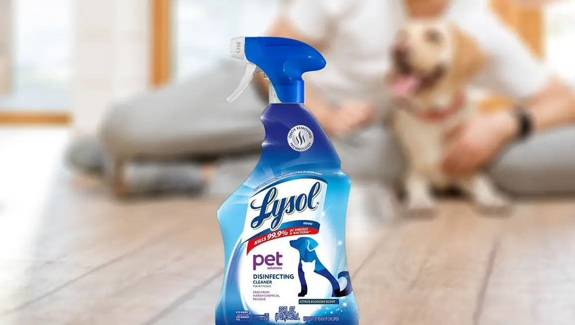 Dog ate deals lysol wipe