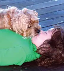Dog licking face of child lying on wooden deck
