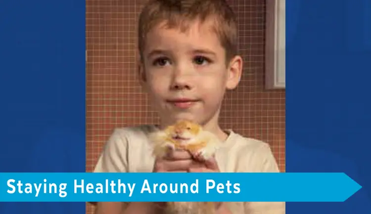 Child holding pet hamster. Text says "saying healthy around pets"