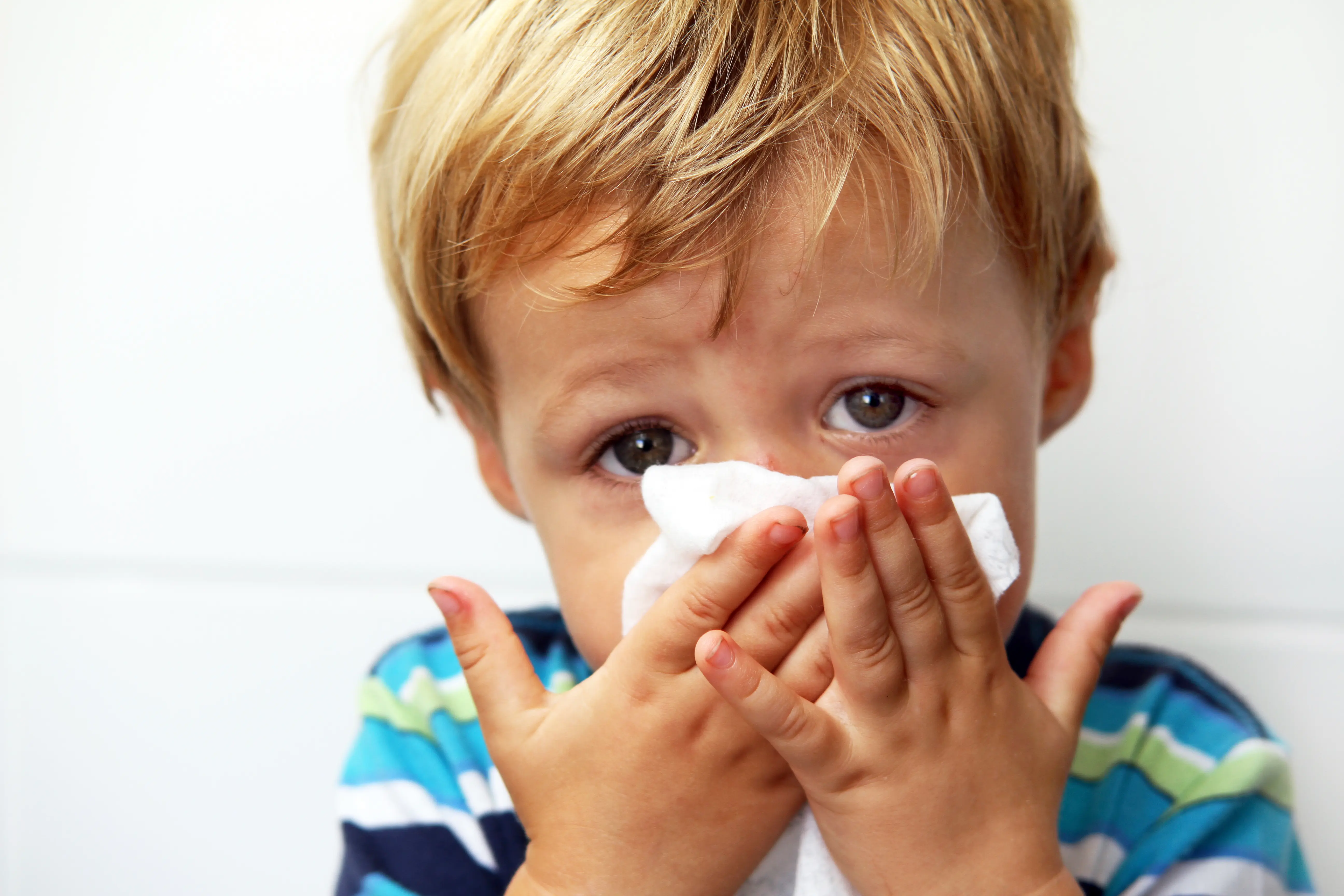 Young child looking unhappy holding tissue to nose