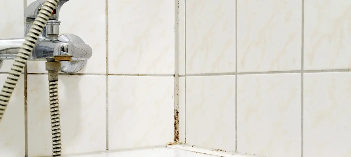 The corner of a bath-shower showing mold in the grout of the tiling on the wall.