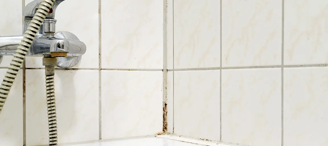 I was sick of my filthy shower and stained grout - now it looks