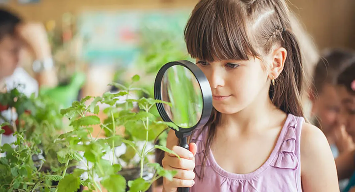 Child holding magnifying glass towards plant with other children in background