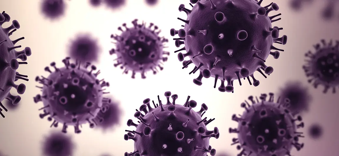 Illustration of swine flu viruses.