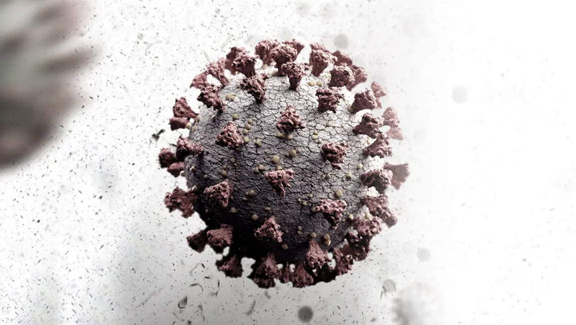 An artists impression of the COVID-19 virus