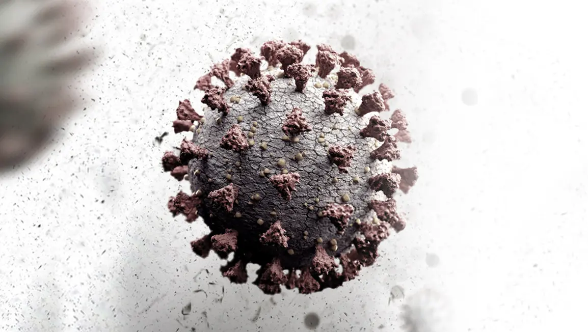 Get the facts on the COVID-19 virus An artists impression of the COVID-19 virus