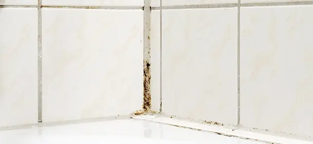 A dirty, grimey corner of a tiled shower