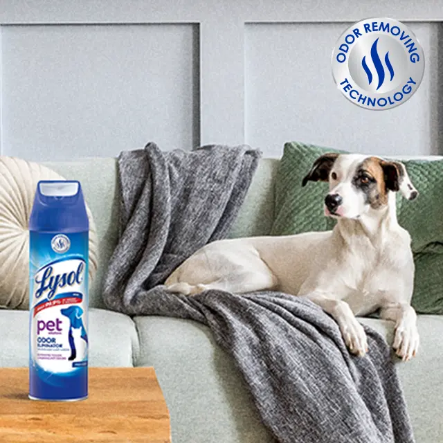 Dog laying on couch, Lysol spray on coffee table, and Odor Removing Technology badge