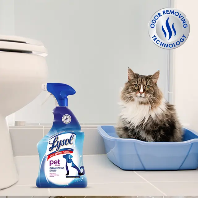 Cat in litter box in bathroom, Lysol Spray in foreground, Odor Removing Technology badge.