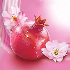 Cherry Blossoms and a Pomegranate