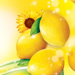 Lemons and sunflowers glistening with water droplets.
