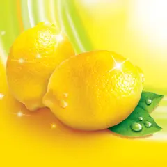 Lemons glistening with water droplets.