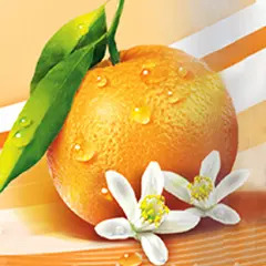 An orange behind small white flowers.