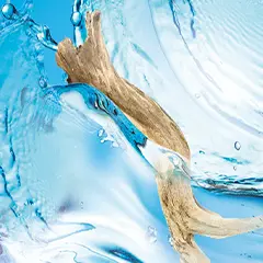 A piece of driftwood floating in some clear water.