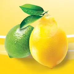 A lemon and a lime. Two leaves are attached to the stem of the lemon