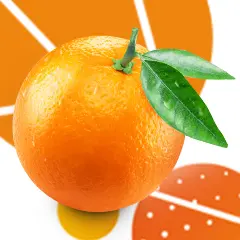 An orange on a cartoon orange background. The two leaves are still attached to the stem.
